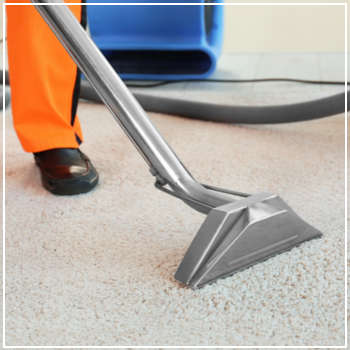 professional carpet cleaning 
