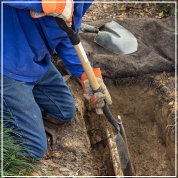 digging trench for a new sewer line 