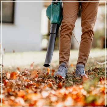 blowing leaves