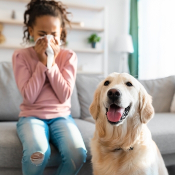 girl sneezing from pet allergies